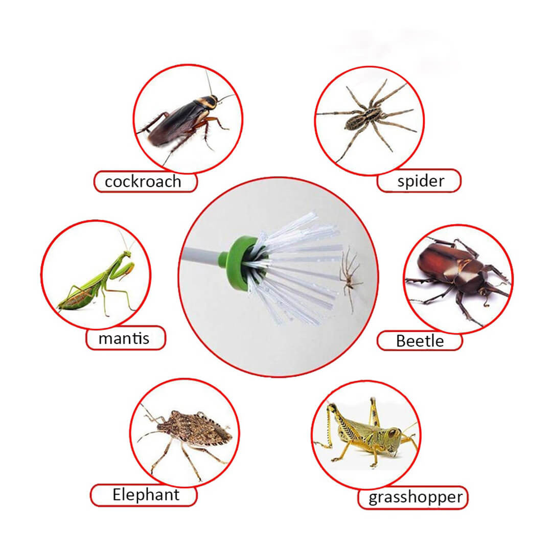 BugBusterPro™ - Bug Catcher