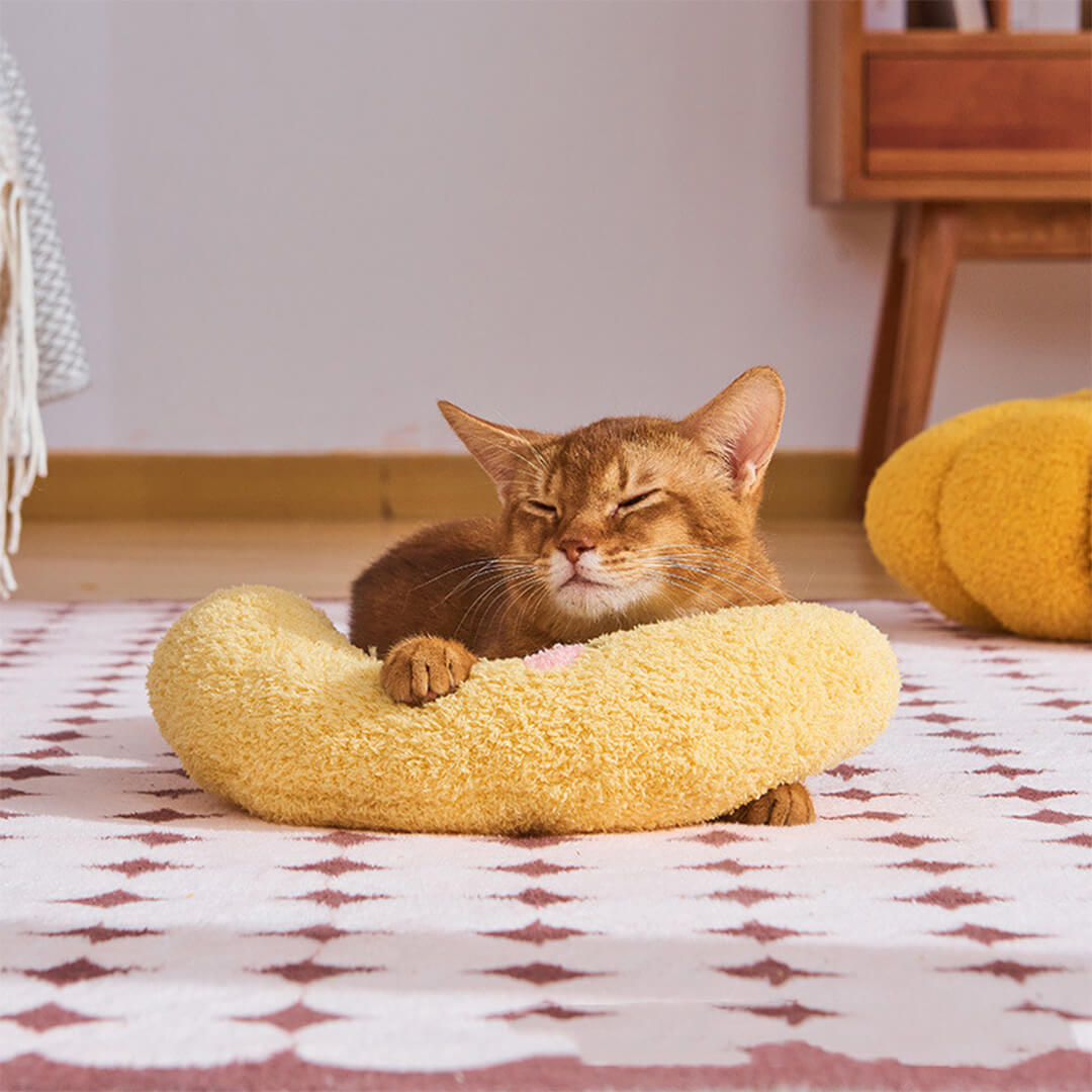 Pawllows™ Anxiety Relief Pillow for Dogs & Cats